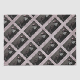 De Seda Papel Tecido 10lb Damas Com Tea Opt.3