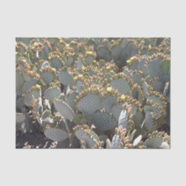 De Seda Papel Tecido Cactus