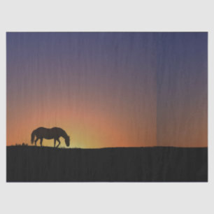 De Seda Papel Tecido Cavalo