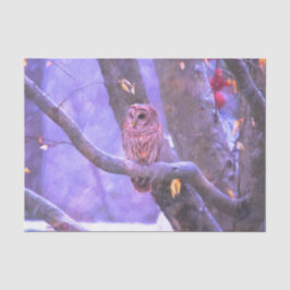 De Seda Papel Tecido da Casca-de-inverno