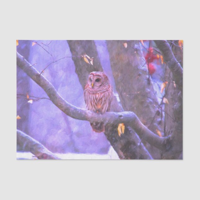 De Seda Papel Tecido da Casca-de-inverno (Frente )