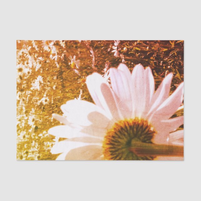 De Seda Papel Tecido Daisy Fields (Frente )