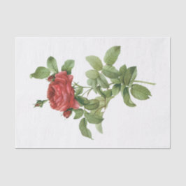 De Seda Papel Tecido Floral Flores Rosas Vermelhas Antigas