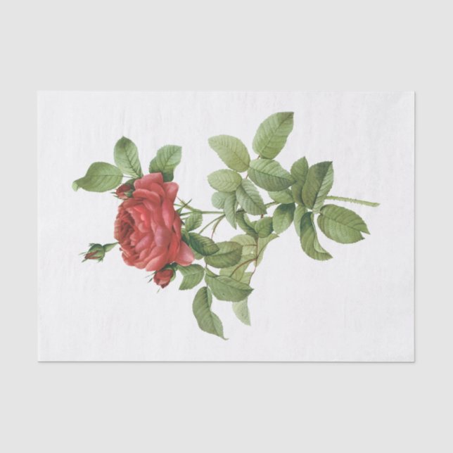 De Seda Papel Tecido Floral Flores Rosas Vermelhas Antigas (Frente )