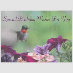 De Seda Papel Tecido Hummingbird
