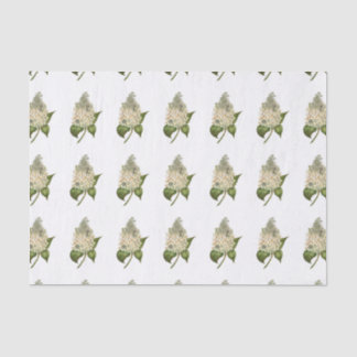 De Seda Papel Tecido Hydrangea