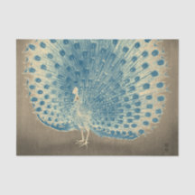 Papel Tecido PEACOCK JAPONÊS