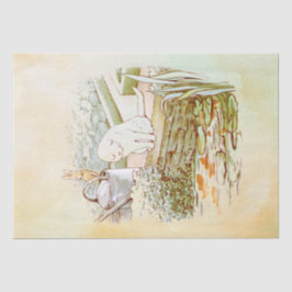 De Seda Papel Tecido Peter Rabbit (cat)