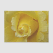 Papel Tecido Rosa Amarelo