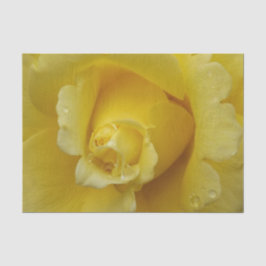 De Seda Papel Tecido Rosa Amarelo