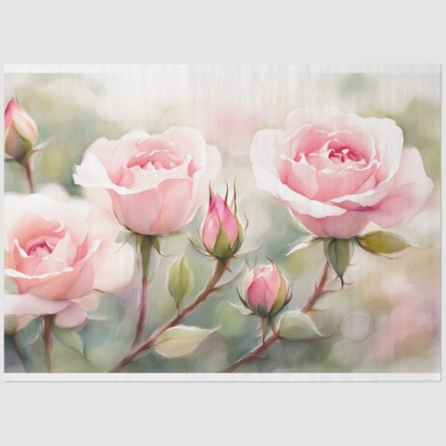 De Seda Papel Tecido Rosa Rosa Rosa Rosa Rosa Rosa Rosa Ro (Frente )