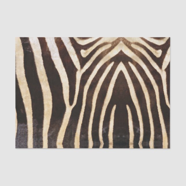 De Seda Papel Tecido Zebra Skin (Frente )