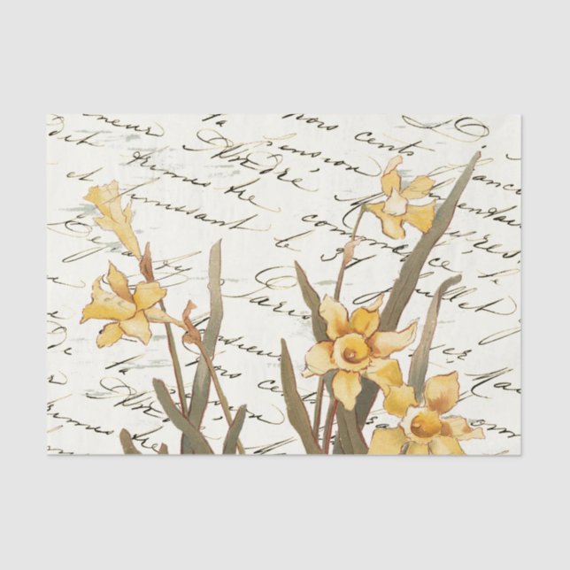 De Seda Papel Tecidual Amarelo Daffodil - Script francês V (Frente )
