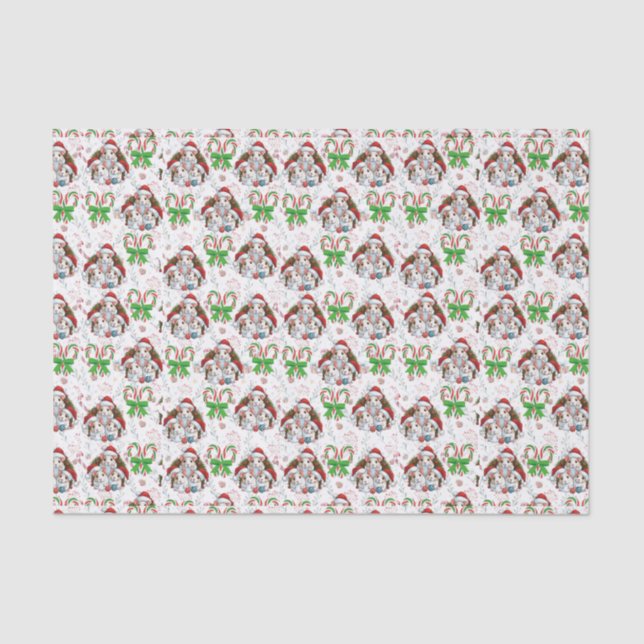 De Seda Papel Tecidual Chris-Mouse (Frente )