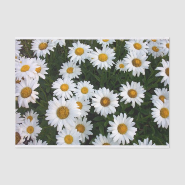 De Seda Papel Tecidual Daisy Delight (Frente )