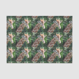 De Seda Papel Tecidual Giraffe