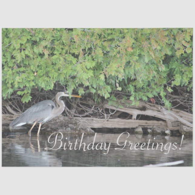 De Seda Papel Tecidual Heron (Frente )