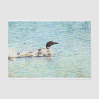 De Seda Papel Tecidual Loon Lake