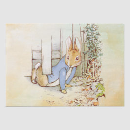 De Seda Papel Tecidual Peter Rabbit