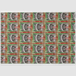 De Seda Papel tecidular