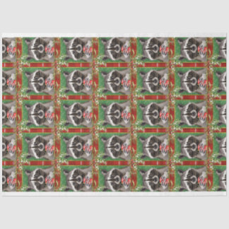 De Seda Papel tecidular