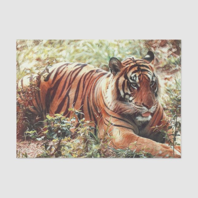 De Seda Papel tecidular (Frente )