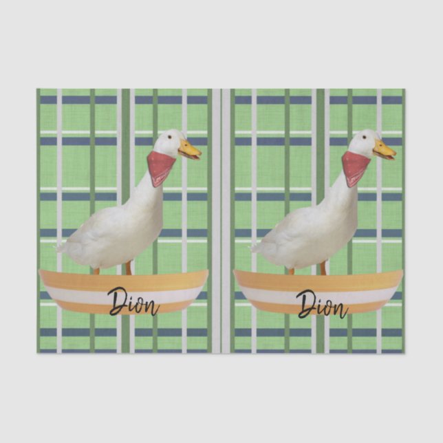 De Seda Papel tecidular Pato Xadrez Verde (Frente )