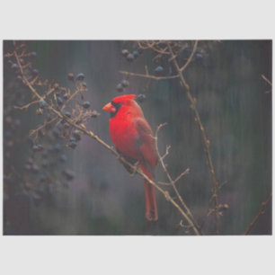 De Seda Papel Teclado Cardeal