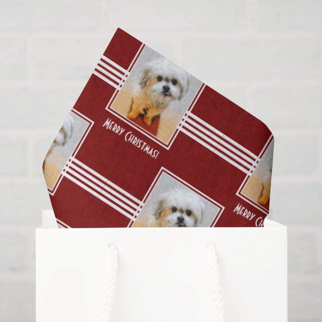 De Seda Papel Tissue Malshi (Sacola de presentes)