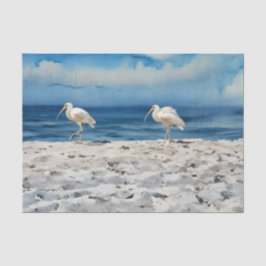 De Seda Papel Toalha Pássaros na Praia