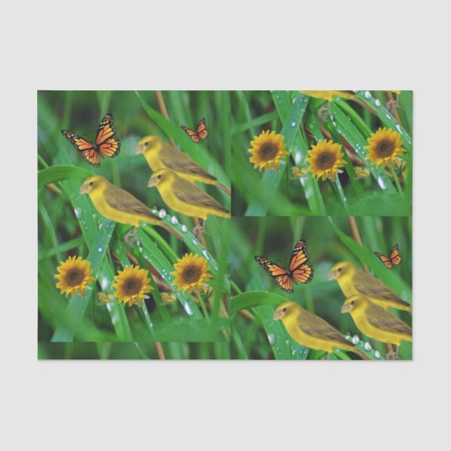 De Seda Pássaros com papel absorvente (Frente )