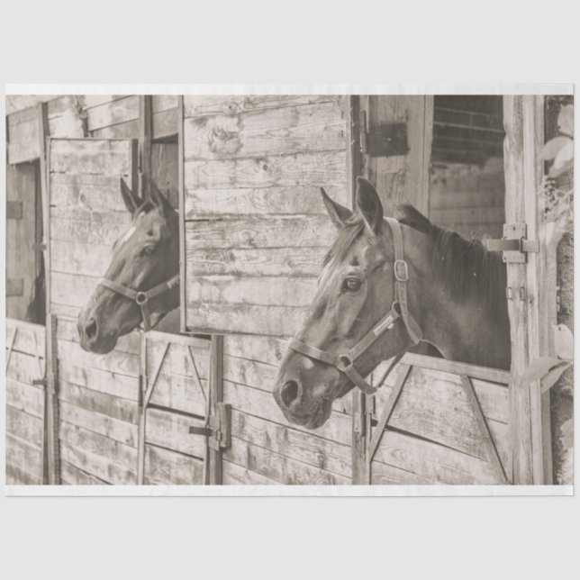 De Seda velhos cavalos estáveis papel tissue (Frente )