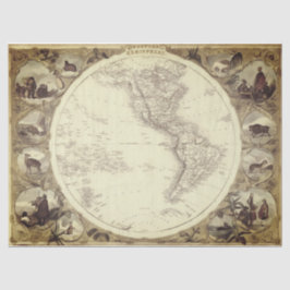 De Seda Vintage Map - Papel Tecidual