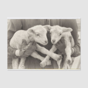 De Seda Vintage Twin Lambs Papel Tecido