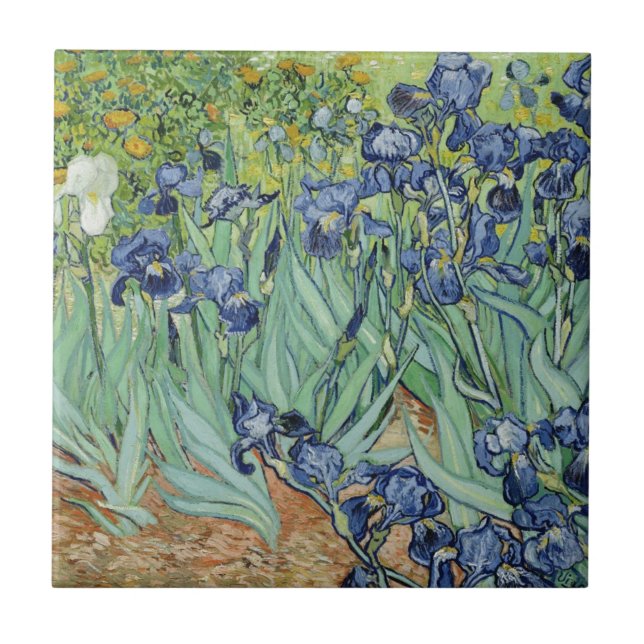 De Van Gogh vida ainda: Vaso com íris (Frente)