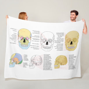 De Velo Anatomia humana Caveira humana ilustrada cobertor