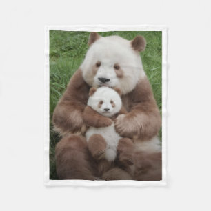 De Velo Cobertor Família Panda Marrom