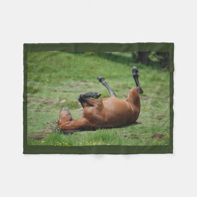 De Velo cobertor _ itália _ aveto parque natural _ cavalo (Frente (Horizontal))