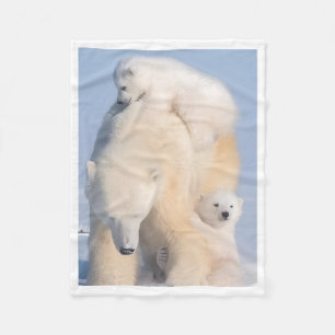 De Velo Cobertor Mãe Urso Polar e Filhotes