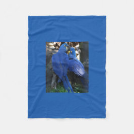 De Velo cobertor _ papagaios