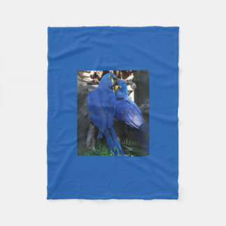 De Velo cobertor _ papagaios