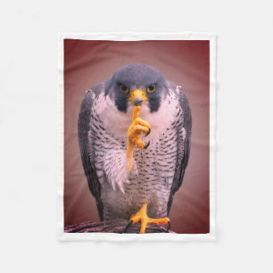 De Velo Cobertor Secret Falcon Sherpa