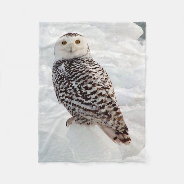 De Velo cobertor Snowy Owl (Frente)