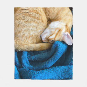 De Velo Gato laranja enrolado no cobertor azul
