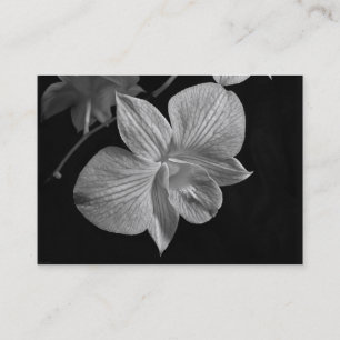 De Visita Cartão do ATC da flor da orquídea do Dendrobium