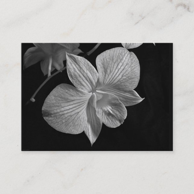 De Visita Cartão do ATC da flor da orquídea do Dendrobium (Frente)