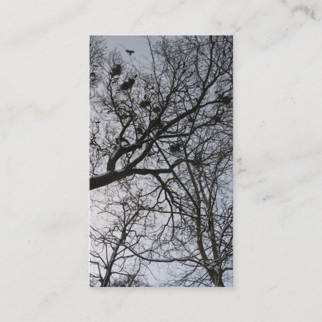 De Visita O cartão com fotos pequeno dos corvos (Frente)