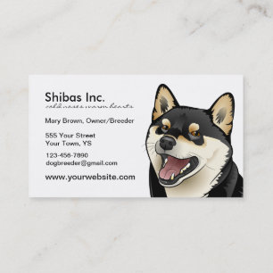 De Visita O preto e Tan Shiba Inu perseguem o cartão