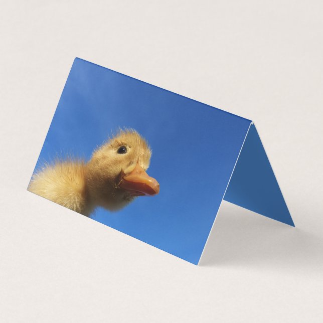 De Visita pato engraçado no cartão azul (Frente)