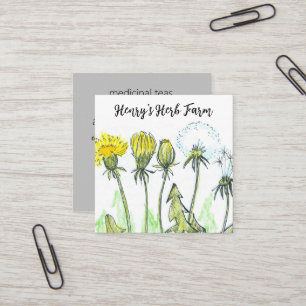 De Visita Quadrado Herb Fazenda Dandelion Plantas Medicinais Cartão d